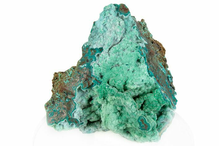 Forest Green Conichalcite on Chrysocolla - Namibia #295893